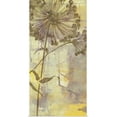 thumbnail image 1 of Great BIG Canvas | Rolled Jennifer Goldberger Poster Print entitled Dandelion Dance I, 1 of 4