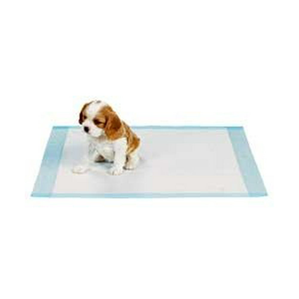 Dog Puppy 23x36 Pet Housebreaking Pad, Pee Training Pads, Underpads