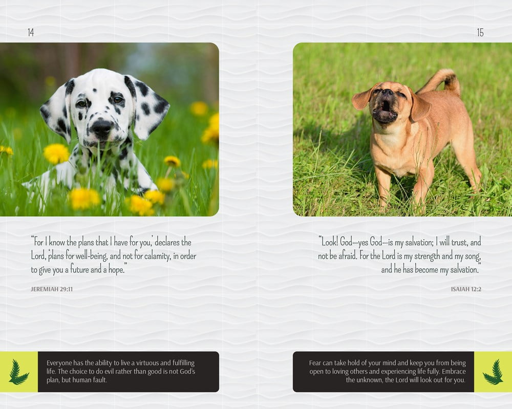Good Dogs Scripture And Bible Verses From Your Best Friend Christian Inspiration And Cute Canines Paperback Walmart Com Walmart Com Good Dogs Scripture And Bible Verses From Your Best Friend Christian Inspiration And Cute Canines Paperback Walmart Com Walmart Com