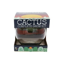 Buzzy Cactus Succulent Garden Terrarium Grow Kit