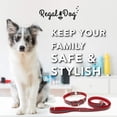 thumbnail image 4 of Regal Dog Products Small Red Reflective Dog Collar and Leash Set - Waterproof Biothane Dog Collar with Heavy Duty D Ring, Center Ring & 5'ft Leash for Training - Other Sizes for Medium & Large Dogs, 4 of 11