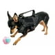 thumbnail image 1 of Pechera Tactica P/perros Y Gatos, Razas Pequeñas Ajustable, 1 of 7