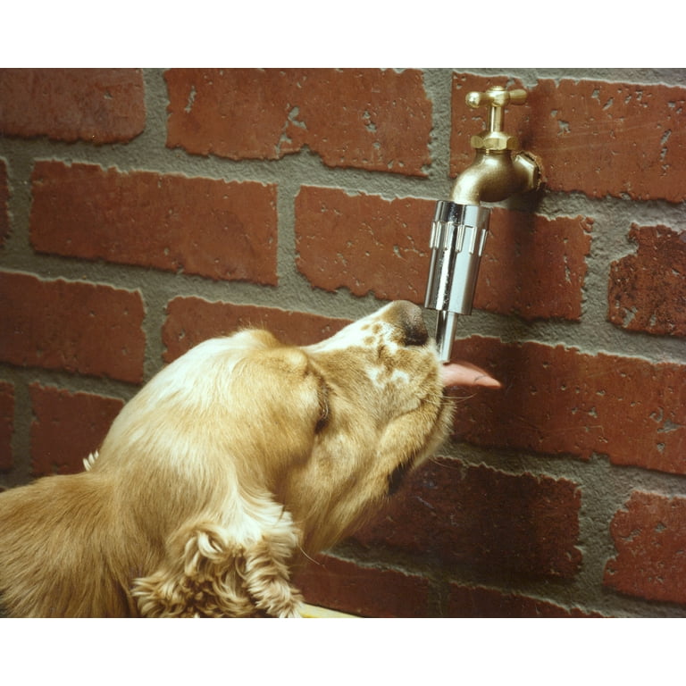 Lixit dog faucet sales waterer