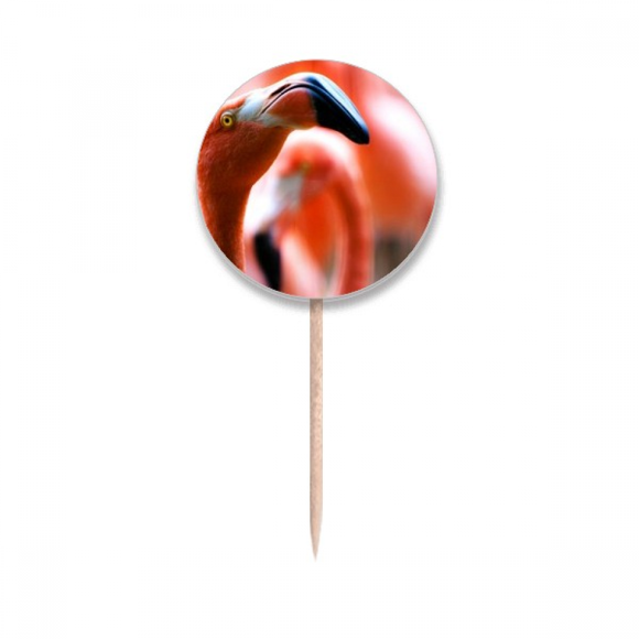 m Flango Animal Toothpick Flags Round Labels Party Decoration
