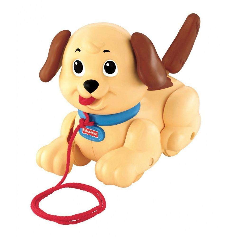 toy dog on leash