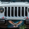 thumbnail image 5 of Flying owl Funny Personalized License Plate Rust-proof Stainless Steel Metal License Plate Suitable For Men And Women 12.2" x 6.2", 5 of 6