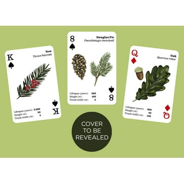 Top Trees : Playing Cards (Cards)