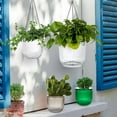 thumbnail image 5 of Trianu 3 Pcs Self Watering Hanging Planter 4.5inch Indoor Plant Hanging Pots Drainage Holes, Outdoor Small Hanging Planters Flower Pot Basket, Plant Hanger Home Decor, Gardening (Green), 5 of 9
