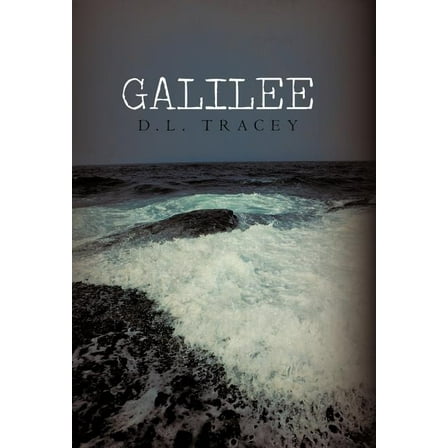 Galilee (Hardcover)