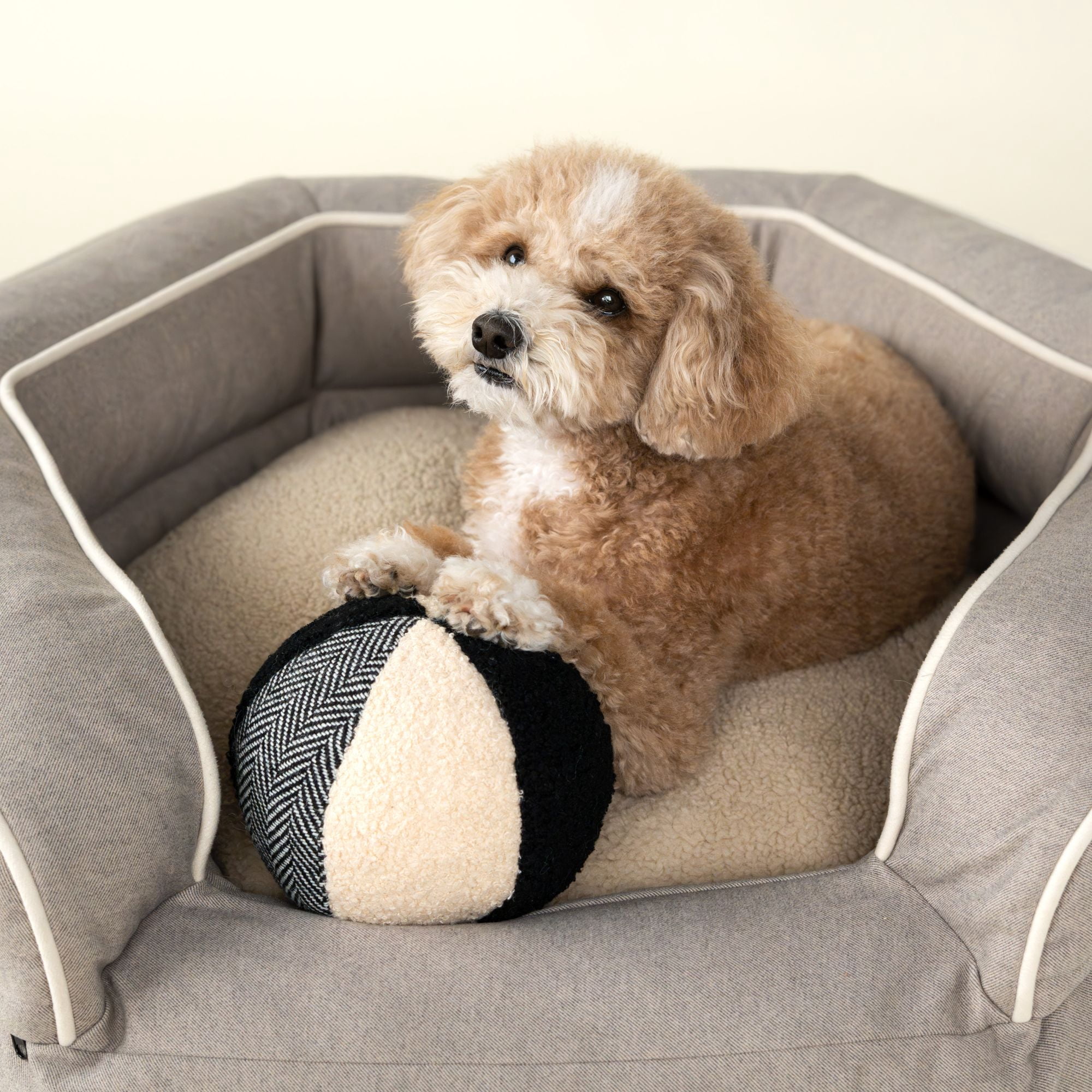 Harry Barker Durable Plush Dog Toys, Mixed Media Durable Ball