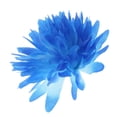 thumbnail image 4 of Pompones Sedosos De De 3 Pulgadas, Paquete , 11 Colores, Decoración De La Del Té De Azul, 4 of 6
