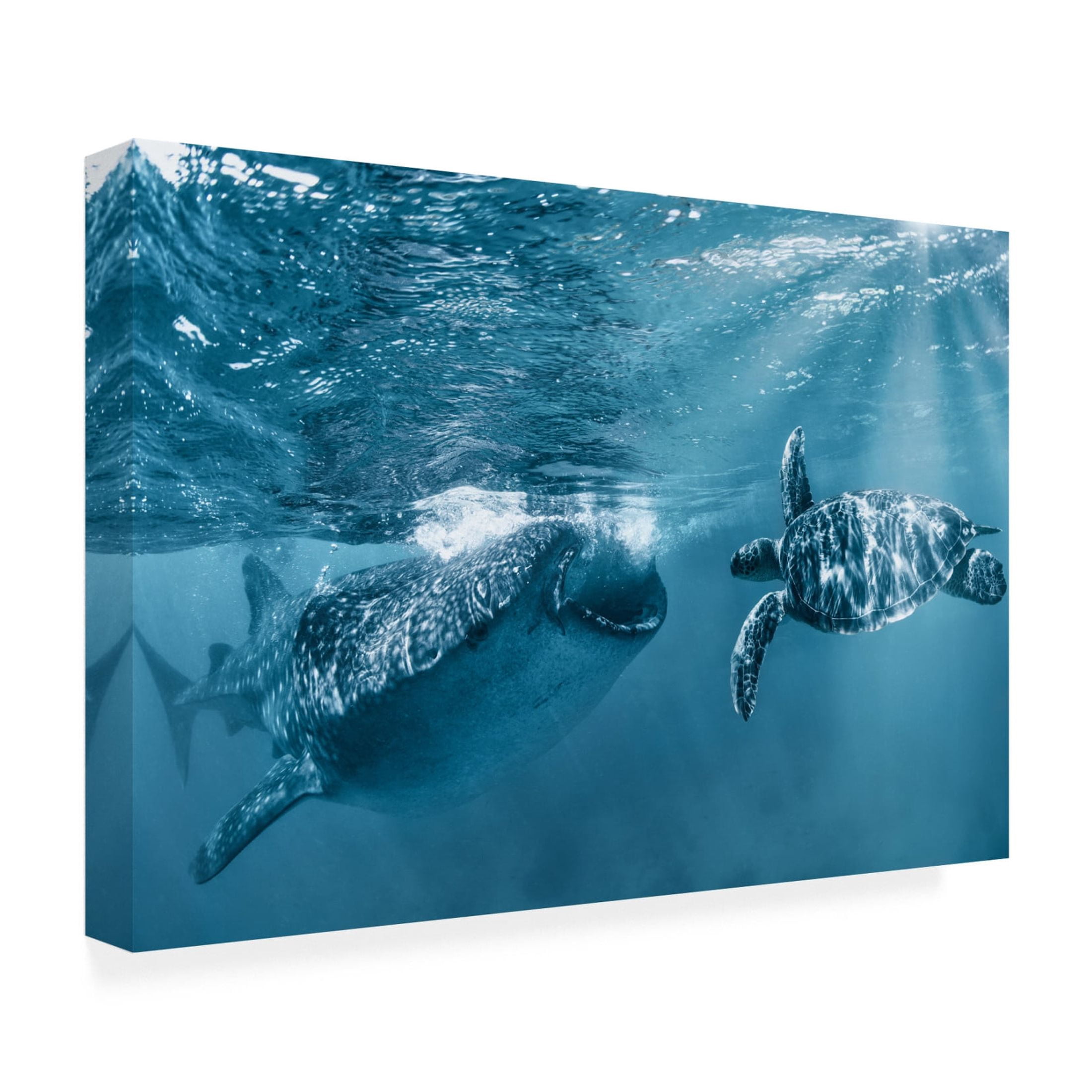 Canvas Wall Art - Andrey Narchuk 'Once At The Ocean' Wall Art for Living Room, Bedroom, or Office Décor by Trademark Fine Art - 32 x 22 Inches
