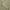 Sage, variant on Superior 600 Thread Count 3-Piece Grey Paisley Cotton Blend Sheet Set, Twin XL