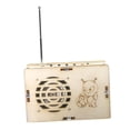 thumbnail image 1 of Kits de ciencia modelo de radio DIY experimento físico enseñanza en el aula rompecabezas 3D juguetes para niños mayores de 6 años y adolescentes, 1 of 9