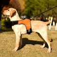thumbnail image 1 of New K-shaped Luminous LED Harness For Pet Dog Chest Harness For Medium And Large Dogs Night Travel, 1 of 7
