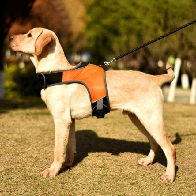 New K-shaped Luminous LED Harness For Pet Dog Chest Harness For Medium And Large Dogs Night Travel