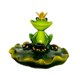 thumbnail image 2 of Figura de rana flotante en el agua del estanque, decoración para estanque, regalo divertido, centro de mesa coleccionable Estilo a, 2 of 8