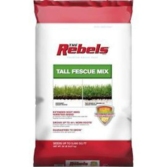 Pennington Tall Fescue Blend bag, 20 lbs