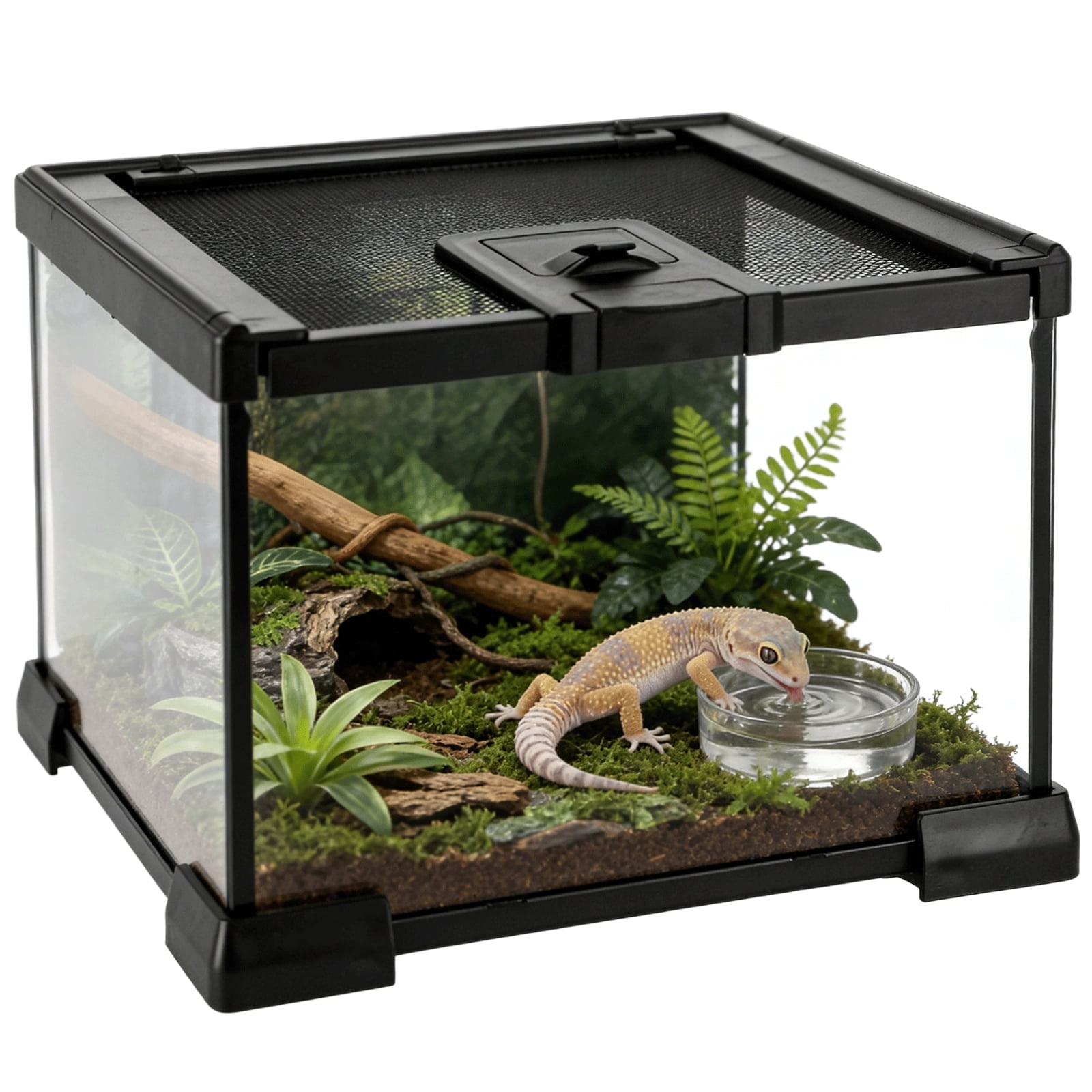 Mini Reptile Glass Terrarium 7.9 x 7.9 x 5.7", Full View Rainforest Vivarium Tank, Stackable Amphibian Enclosure Cage for Turtles, Geckos, Frogs, Hermit Crabs, No Installation Needed
