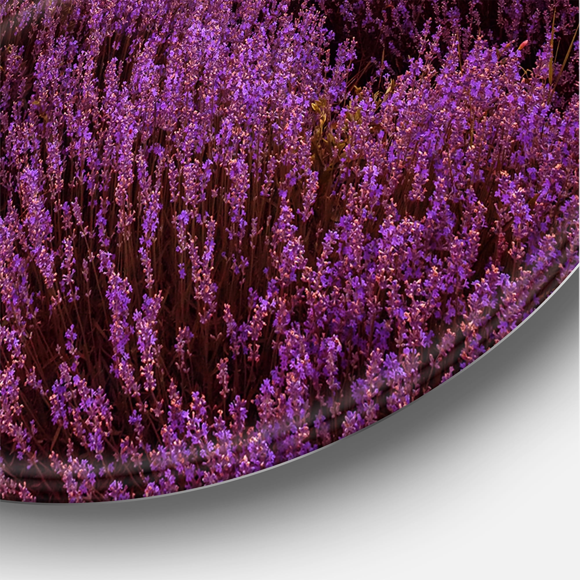 Designart 'Dramatic Clouds and Sunrise Over Lavender Field III' Farmhouse Circle Metal Wall Art 29x29 - Disc of 29