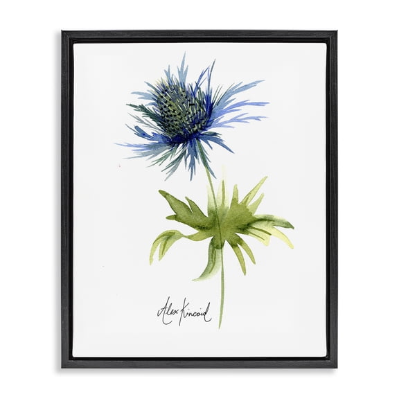 Stupell Industries Modern Minimal Thistle Flower Black Floating Frame Canvas Art, 17 x 21, by Alexandria Gilbert Kincaid