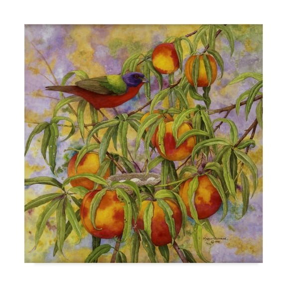 Trademark Fine Art 'Painted Bunting And Peaches' Canvas Art by Marcia Matcham