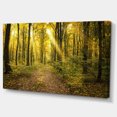 thumbnail image 2 of Sunset in Green Autumn Forest - Modern Forest Canvas Art, 2 of 3