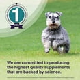 thumbnail image 6 of Nutramax Denamarin Liver Health Supplement for Medium Dogs - with S-Adenosylmethionine (SAMe) and Silybin, 30 Blister Pack Tablets, 6 of 7