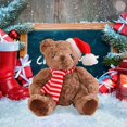 thumbnail image 4 of wsevypo Oso de peluche navideño con gorro y bufanda, lindo muñeco de peluche de dibujos animados, 4 of 5