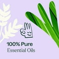 thumbnail image 6 of Plant Therapy Anti Age Essential Oil Blend 5 mL (1/16 oz) 100 percentage Pure, Undiluted, for Fine Lines, Wrinkles, and Elasticity., 6 of 8