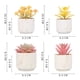 thumbnail image 2 of Plantas artificiales suculentas, las plantas artificiales se utilizan para la decoración de la oficina en el hogar., 2 of 5