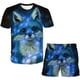 thumbnail image 1 of Gatos Verano Bebé Niños Niñas Camisetas Pantalones cortos Conjuntos de ropa Niños Dibujos animados Encantadores Tops + Pantalones cortos 2PCS Disfraces casuales Outfits3T Gao Jinjia LED, 1 of 2