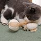 thumbnail image 2 of GOOHOCHY 4 juguetes para gatos con mango de madera, con forma de palo para coquetear, con colgante de plumas de peluche y cascabel para jugar en casa (estilos variados)., 2 of 8