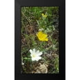 thumbnail image 2 of Popcorn 12x18 Black Modern Framed Museum Art Print Titled - Wildflowers I, 2 of 5