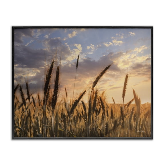 Stupell Industries Cottage Countryside Wheat Field Farmland Cloudy Sunset Sky Black Framed Giclee Art, 14 x 11, by Lori Deiter