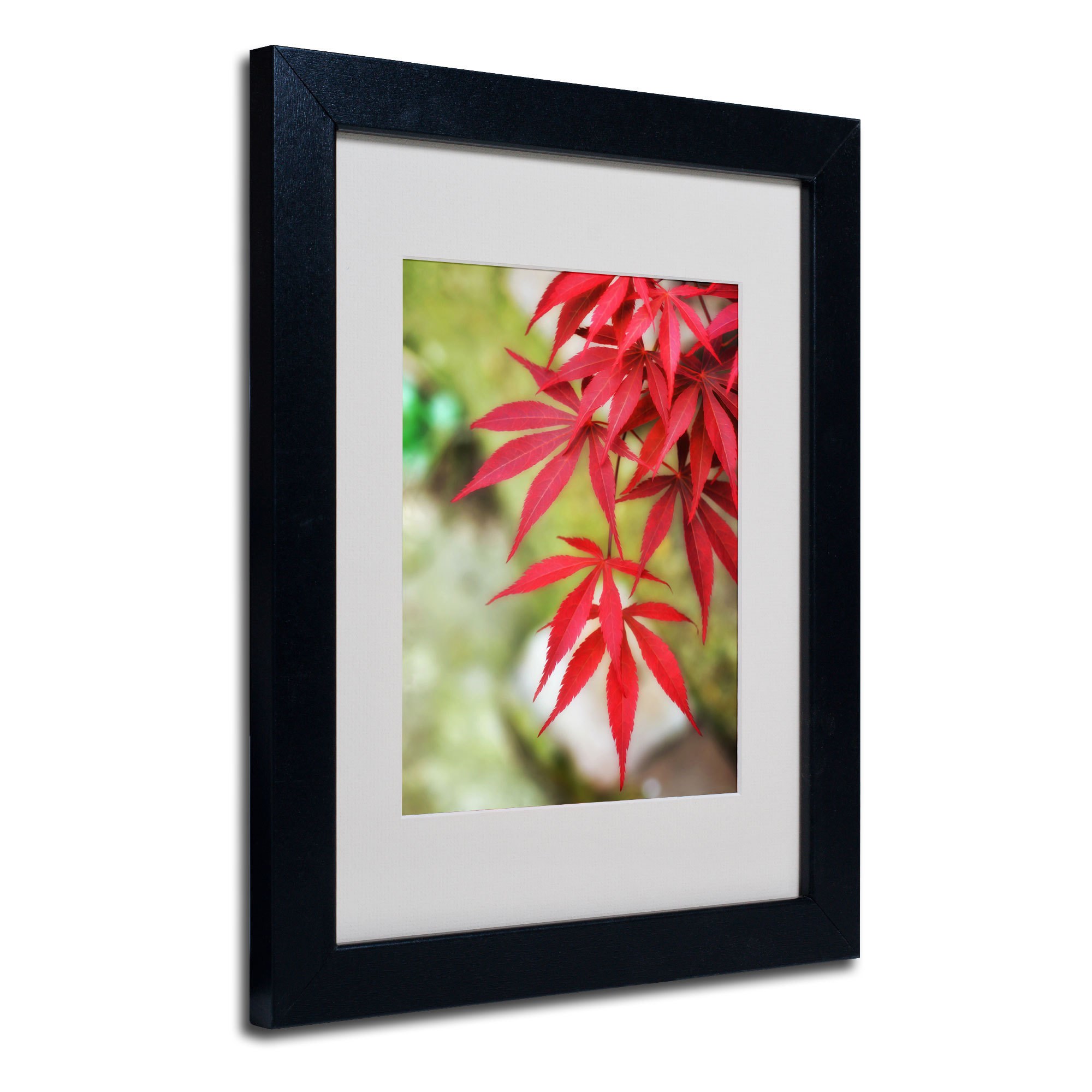 Trademark Fine Art "Japanese Maple" Canvas Art by Philippe Sainte-Laudy, Wood Frame