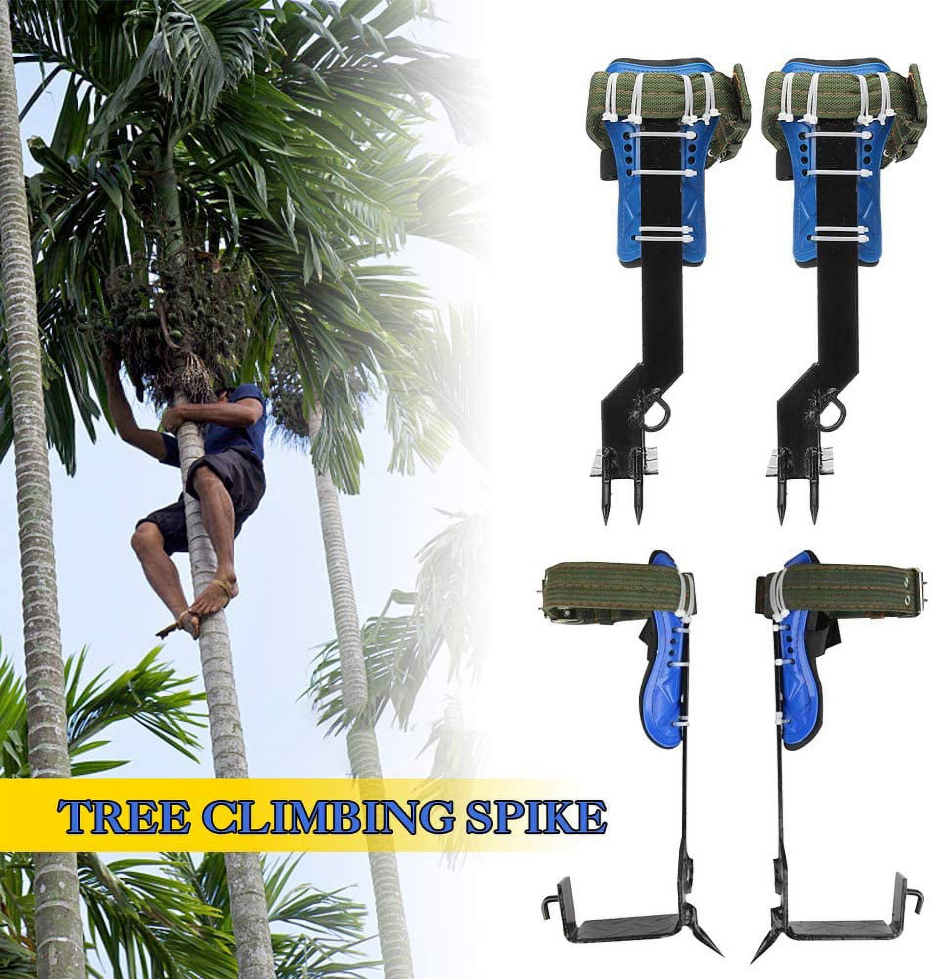 Tree Climbing Spikes Kit - 304 Stainless Steel With Harness Belt - Adjustable For Hunting, Fruit Picking (220LB Capacity)