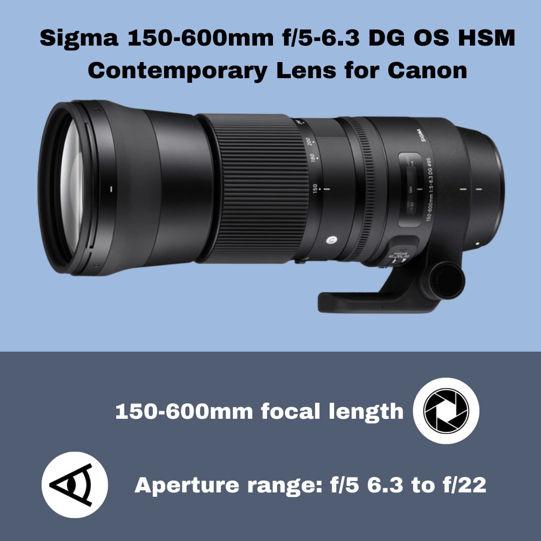 Sigma 150-600mm f/5-6.3 DG OS HSM Contemporary Lens (Nikon) with