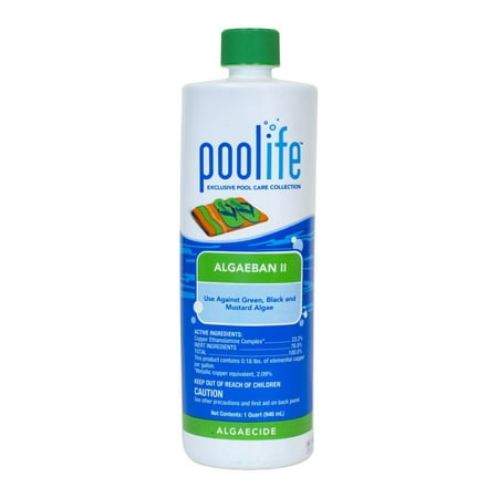 Algae Ban 2 (1 qt), Ideal for treating green, black, and mustard algae. By POOLIFE from