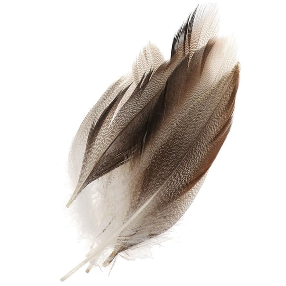 Pack of 50 Mallard Duck Wing 1.57-4.72Inch for Wedding Halloween Decoration