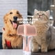 thumbnail image 4 of Cepillos autolimpiantes para mascotas para el cuidado de perros y gatos de pelo largo y corto, 4 of 5