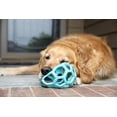 thumbnail image 5 of Pelota de rompecabezas para perros JW Pet Hol-ee Roller™ de caucho natural, 5 of 5