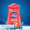 Dial Complete Antibacterial Hand Soap Refill, Pomegranate & Tangerine