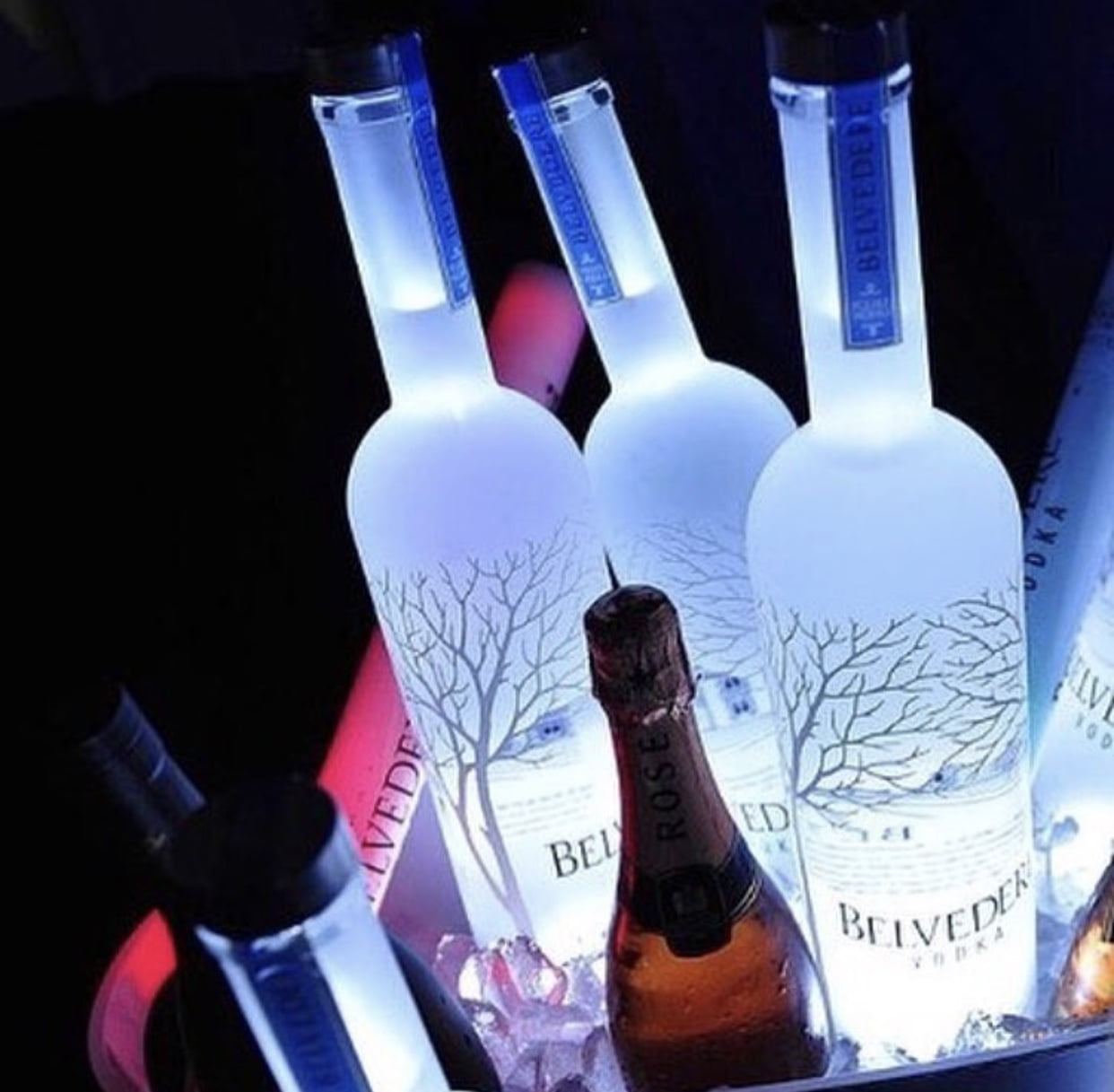 Elegant Ultra Bright 6-LED Cool White LED Bottle Glorifier 10-Pack 
