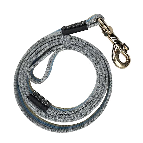AURARMLET 1Pack Blue Dog Training Rope for Walking Pet Supplies Accessories