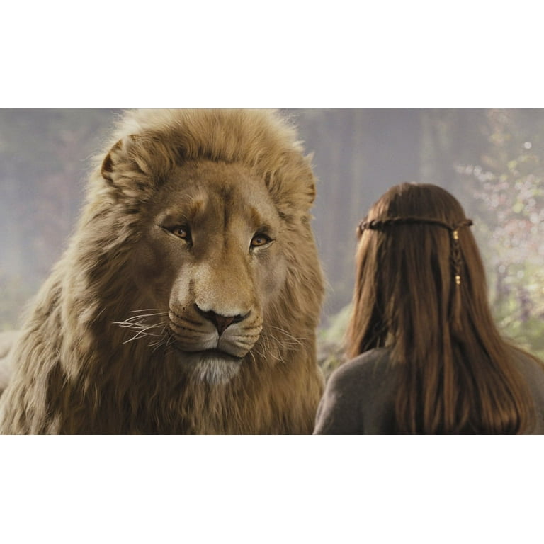 Lion, Aslan of Chronicles of Narnia, Original Oil Painting on