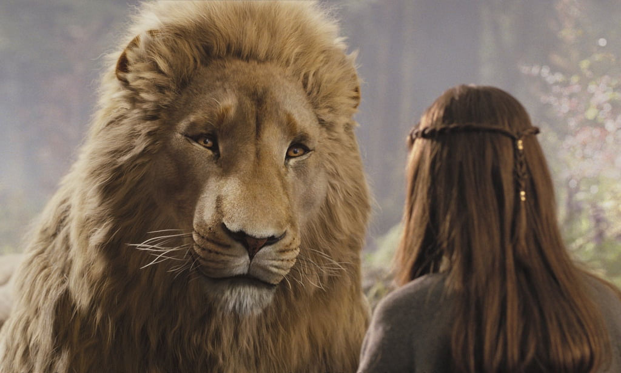 The Chronicles of Narnia: Prince Caspian (Blu-ray + DVD) - image 4 of 6