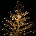 thumbnail image 3 of Guirnalda de Luces LED Transparentes Twinkle Star para Decoración Navideña Cable Blanco 120 V 150 Unidades Paquete de 4, 3 of 8
