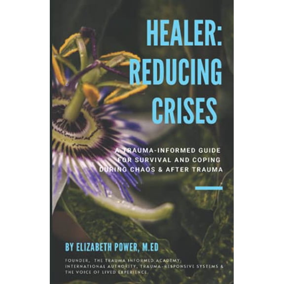 Pre-Owned Healer: Reducing Crises: Reducing Crises (Paperback) 1883307031 9781883307035
