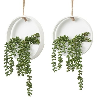 3pcs Artificial Succulents Hanging Plants Fake String of Pearls
